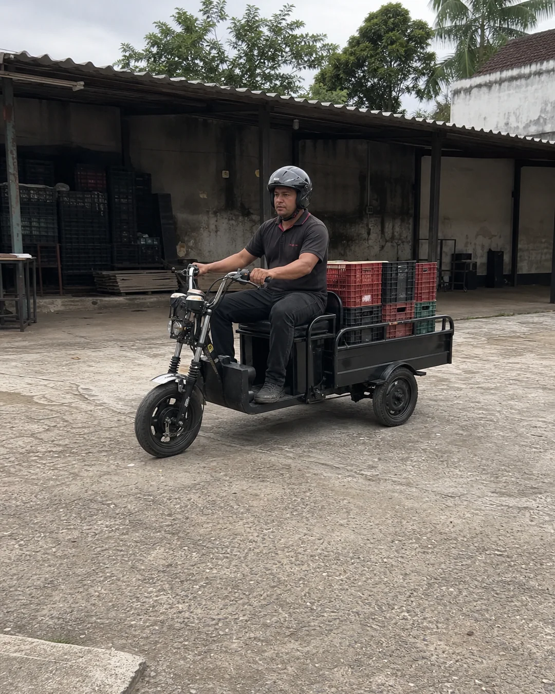 Electric cargo vehicle program for Brazil